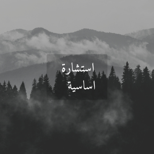جلسة استشارة ( الأساسية )