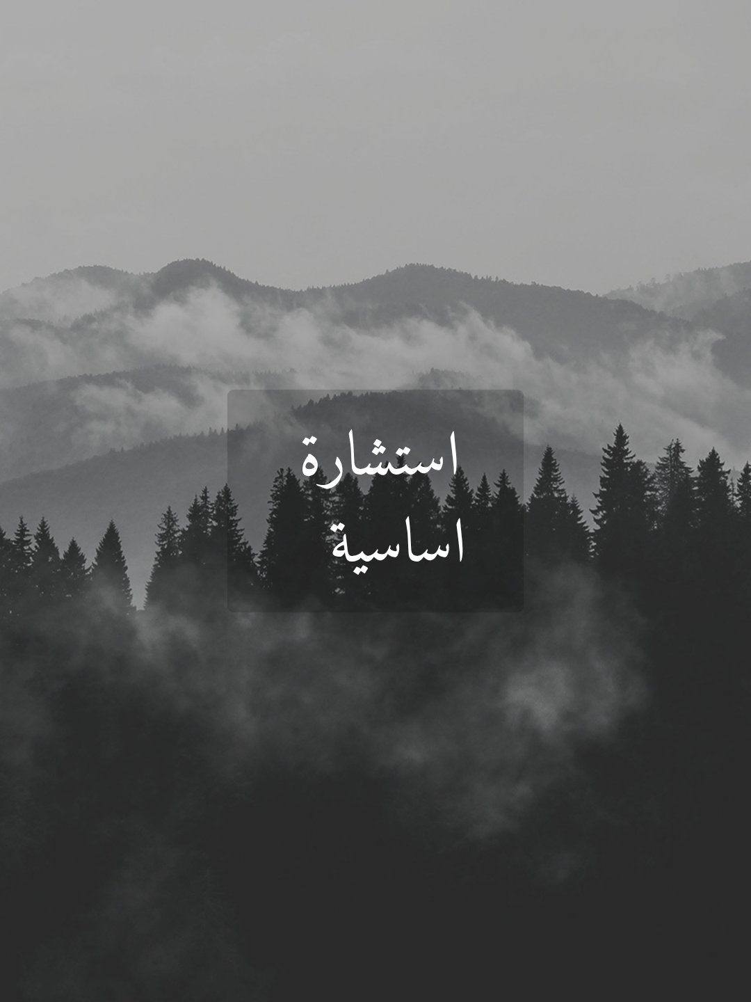 جلسة استشارة ( الأساسية )